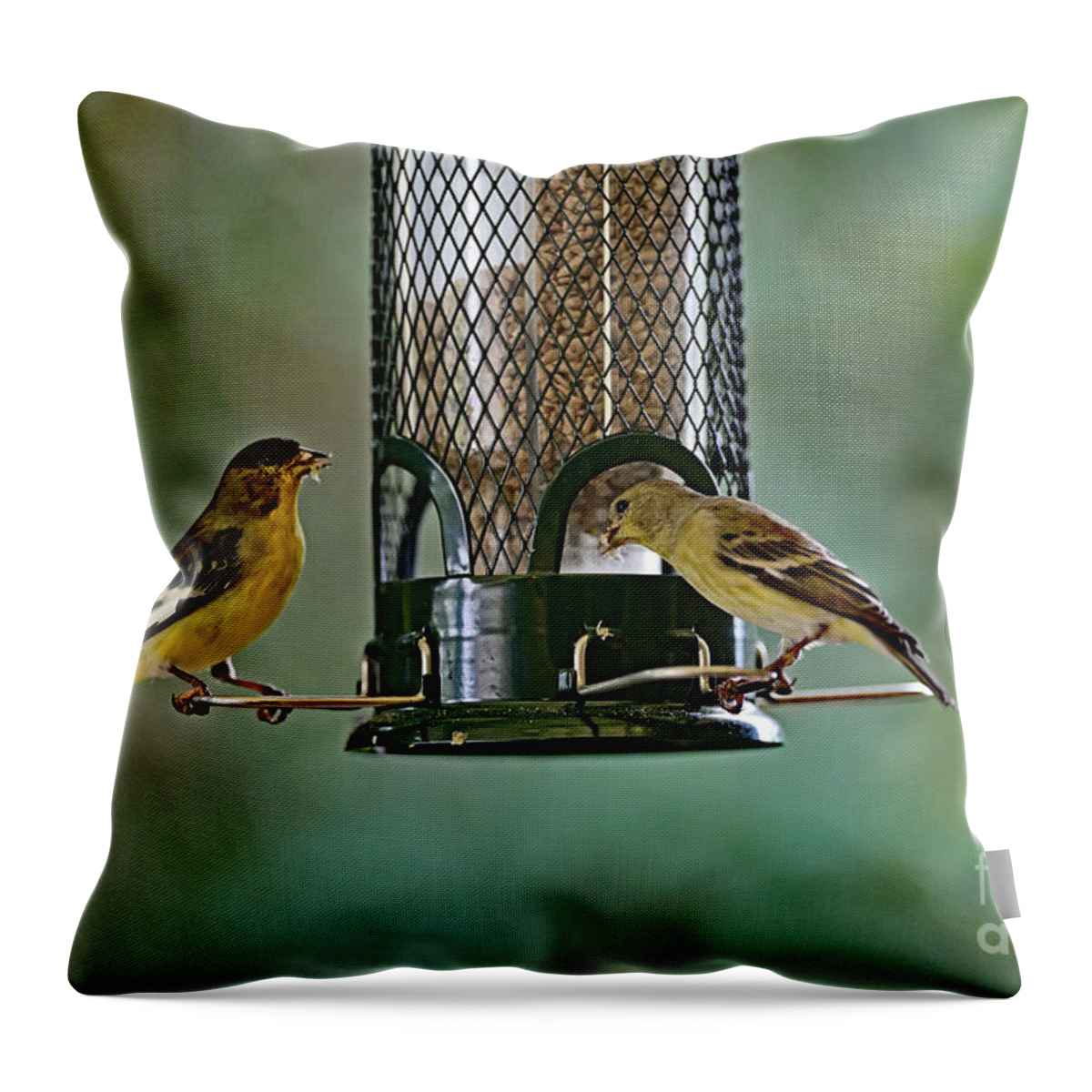 Lesser Goldfinch Throw Pillow featuring the photograph Two Lesser Goldfinch at Feeder by Amazing Action Photo Video