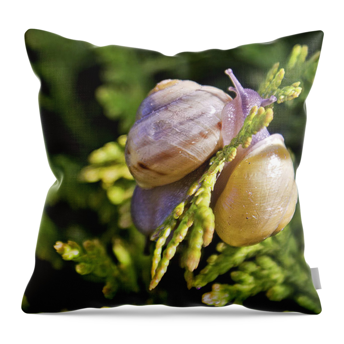 Snails Throw Pillow featuring the photograph Two like one by Tatiana Travelways