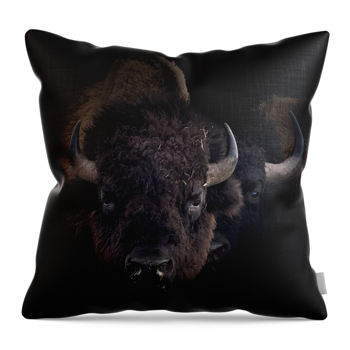 Bison Throw Pillow featuring the photograph Two Old Bulls by Laura Terriere