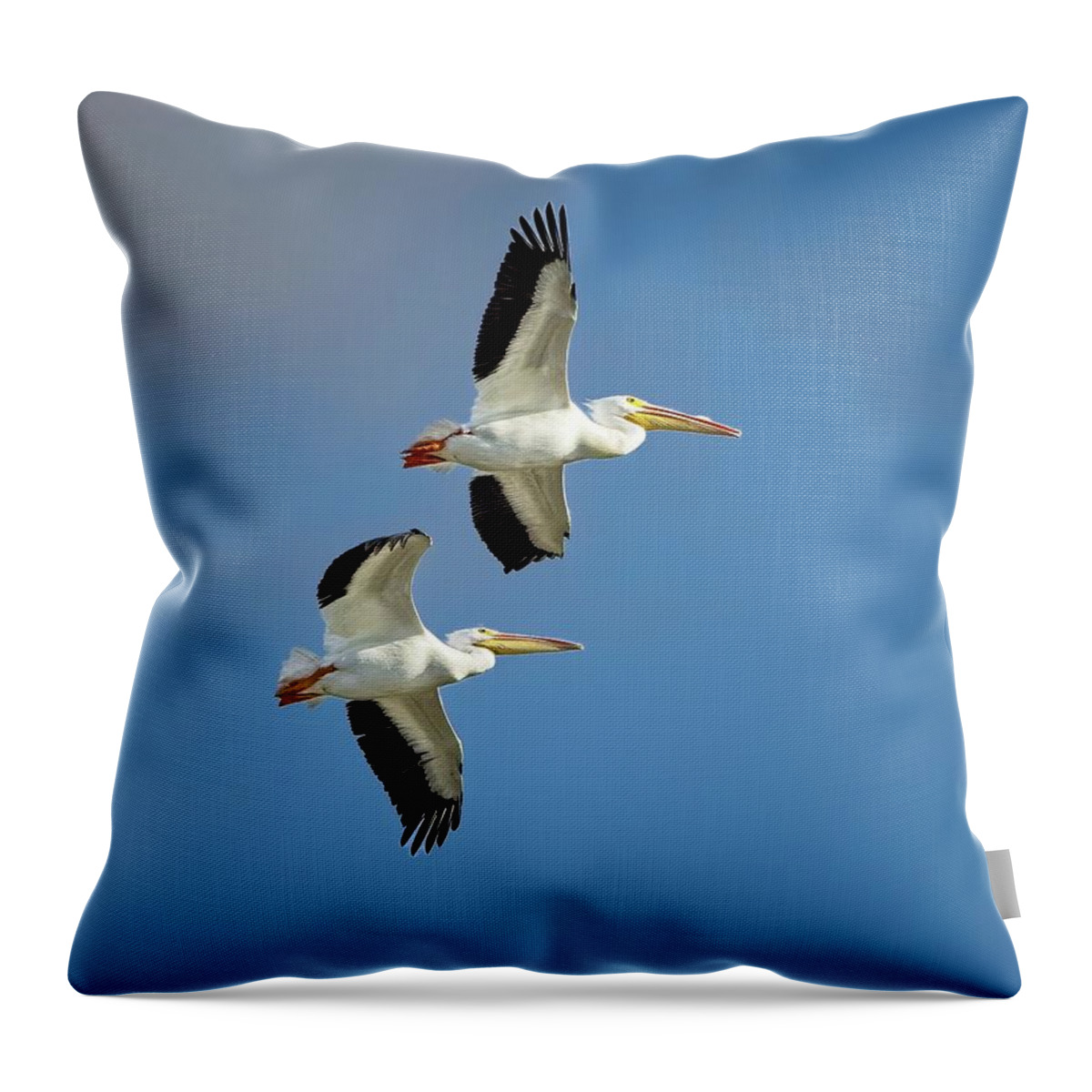 American White Pelican Throw Pillow featuring the photograph Two Soaring Overhead by Ronald Lutz