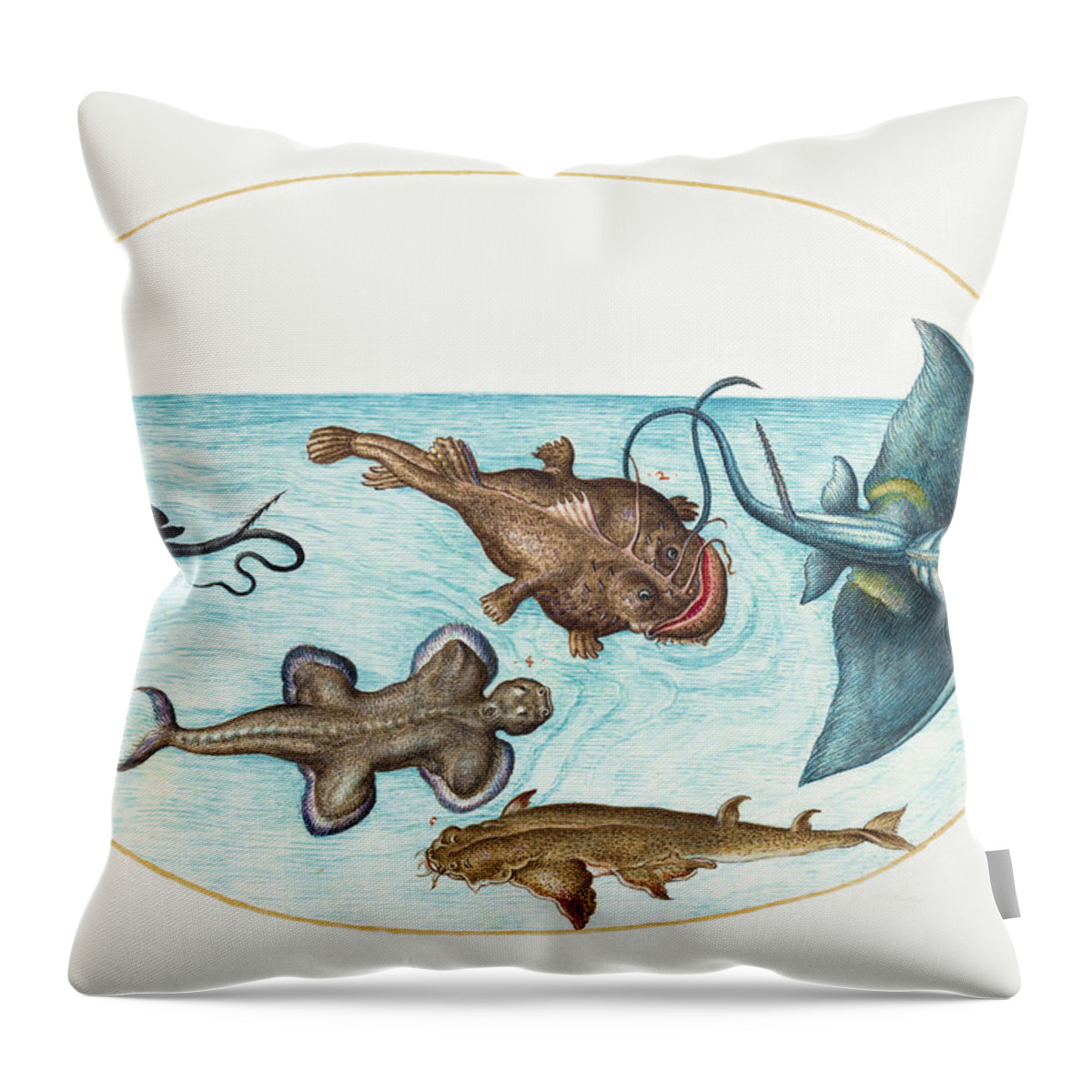 Great Throw Pillow featuring the painting Two Stingrays A  Monkfish and Angel Shark by MotionAge Designs