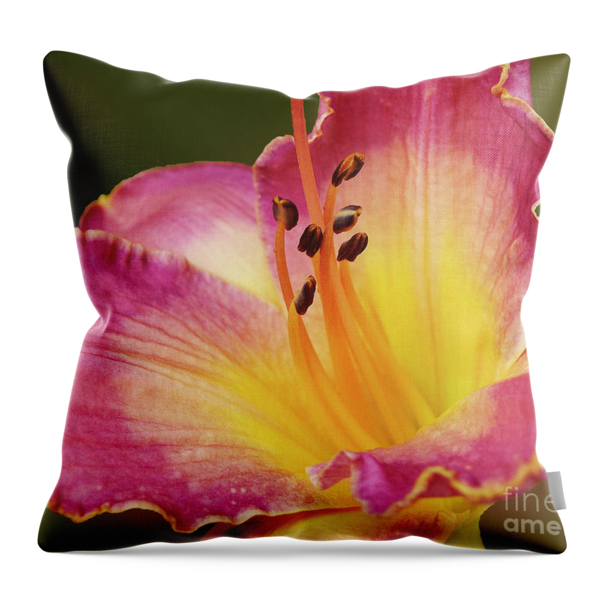 Pink Lily Throw Pillow featuring the photograph Two Tone Lily by Kathi Mirto