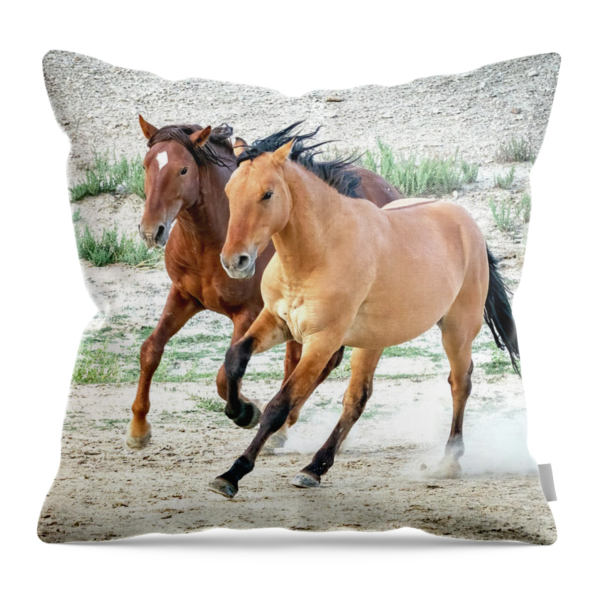 Wild Mustangs Throw Pillow featuring the photograph Two Wild Horse Buddies by Judi Dressler