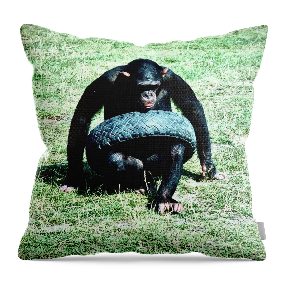 Chimpanzee Throw Pillow featuring the photograph Tyred Chimp by Gordon James