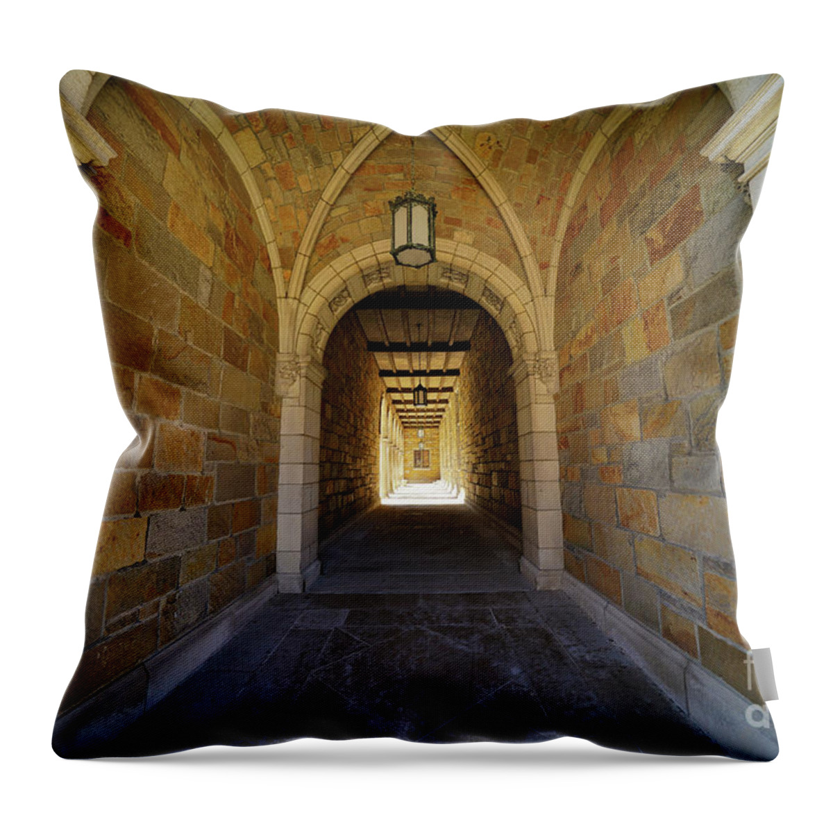 U Of M Law Quad Hallway 1 Throw Pillow featuring the photograph U of M Law Quad Hallway 1 by Rachel Cohen