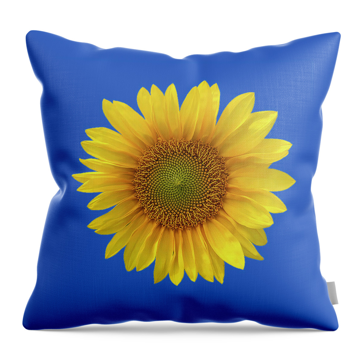Ukraine Throw Pillow featuring the photograph Ukraine I can supply any size you wish by Jim Dollar