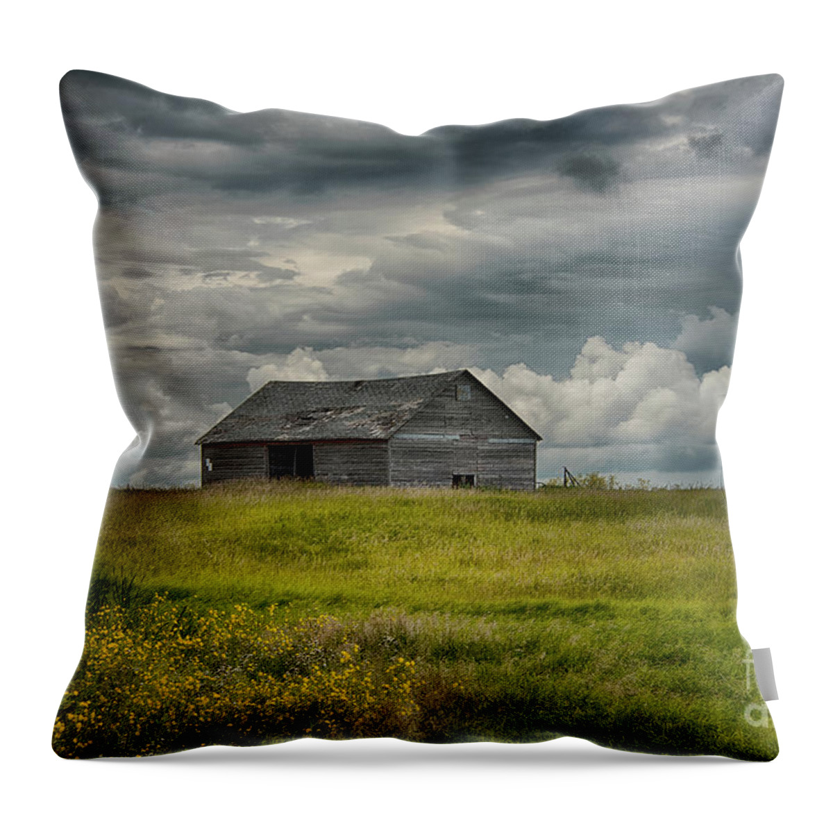 Canada Throw Pillow featuring the photograph Under Heavy Skies by Ian McGregor