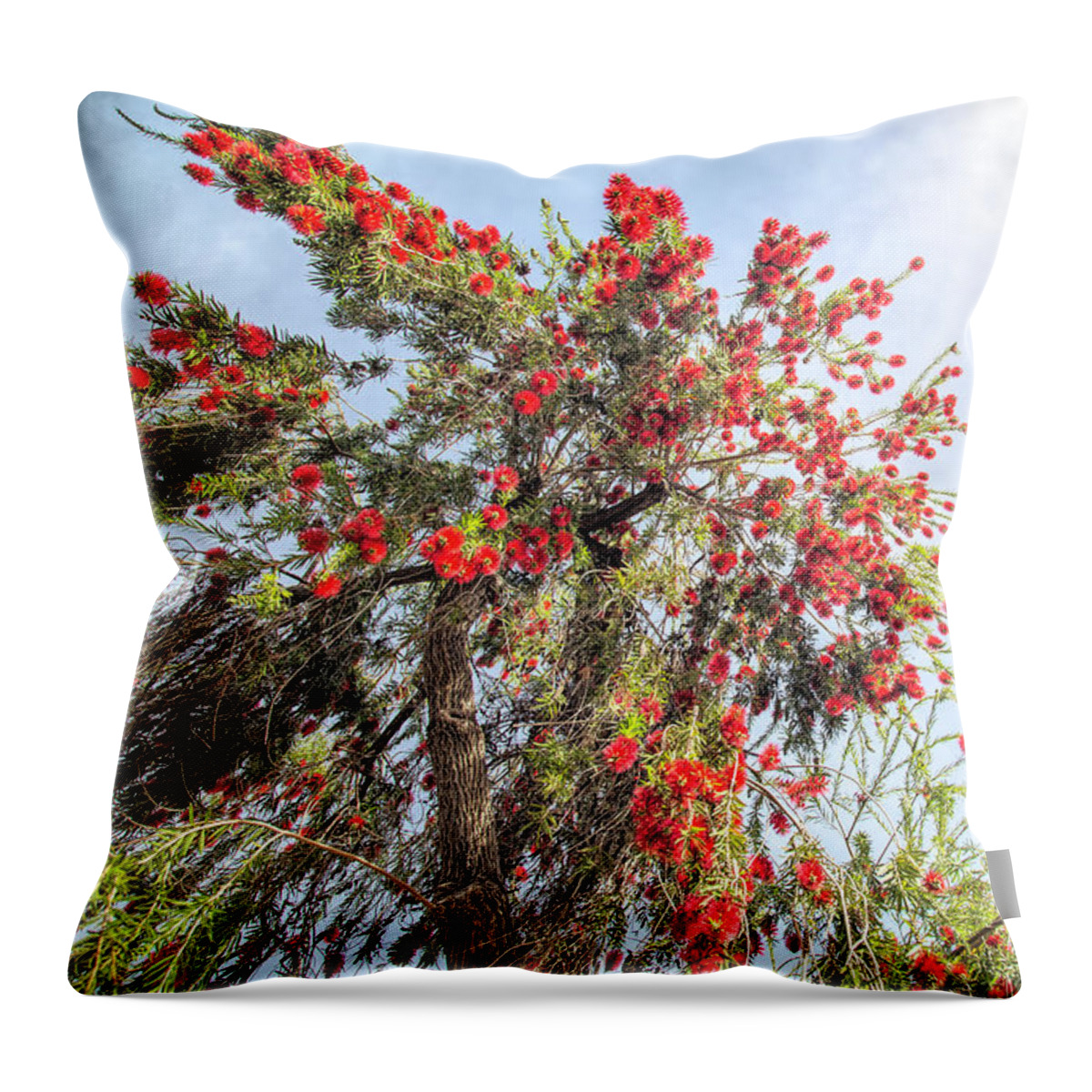 Bottlebrush Throw Pillow featuring the photograph Under the Bottlebrush Tree One by Elisabeth Lucas