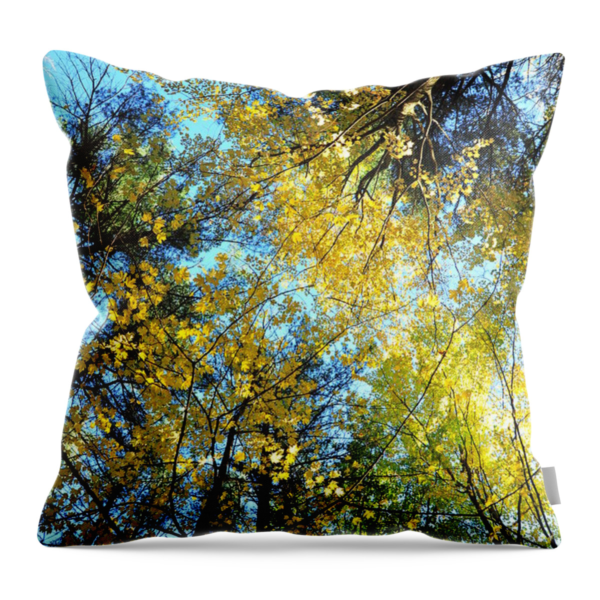 Autumn Throw Pillow featuring the photograph Glitter Dome 2 by Terri Gostola