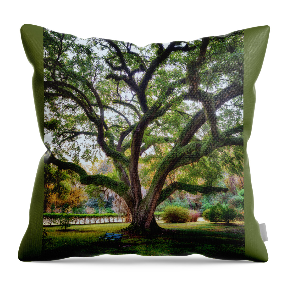 Natchez Throw Pillow featuring the photograph Under the Live Oak Tree by Susan Rissi Tregoning