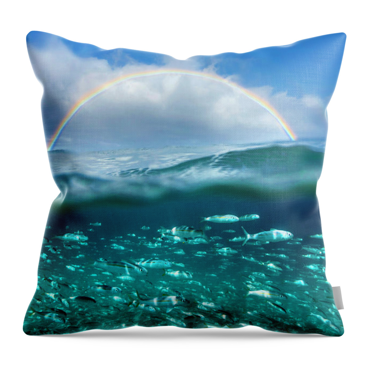  Sea Throw Pillow featuring the photograph Under the Rainbow by Sean Davey