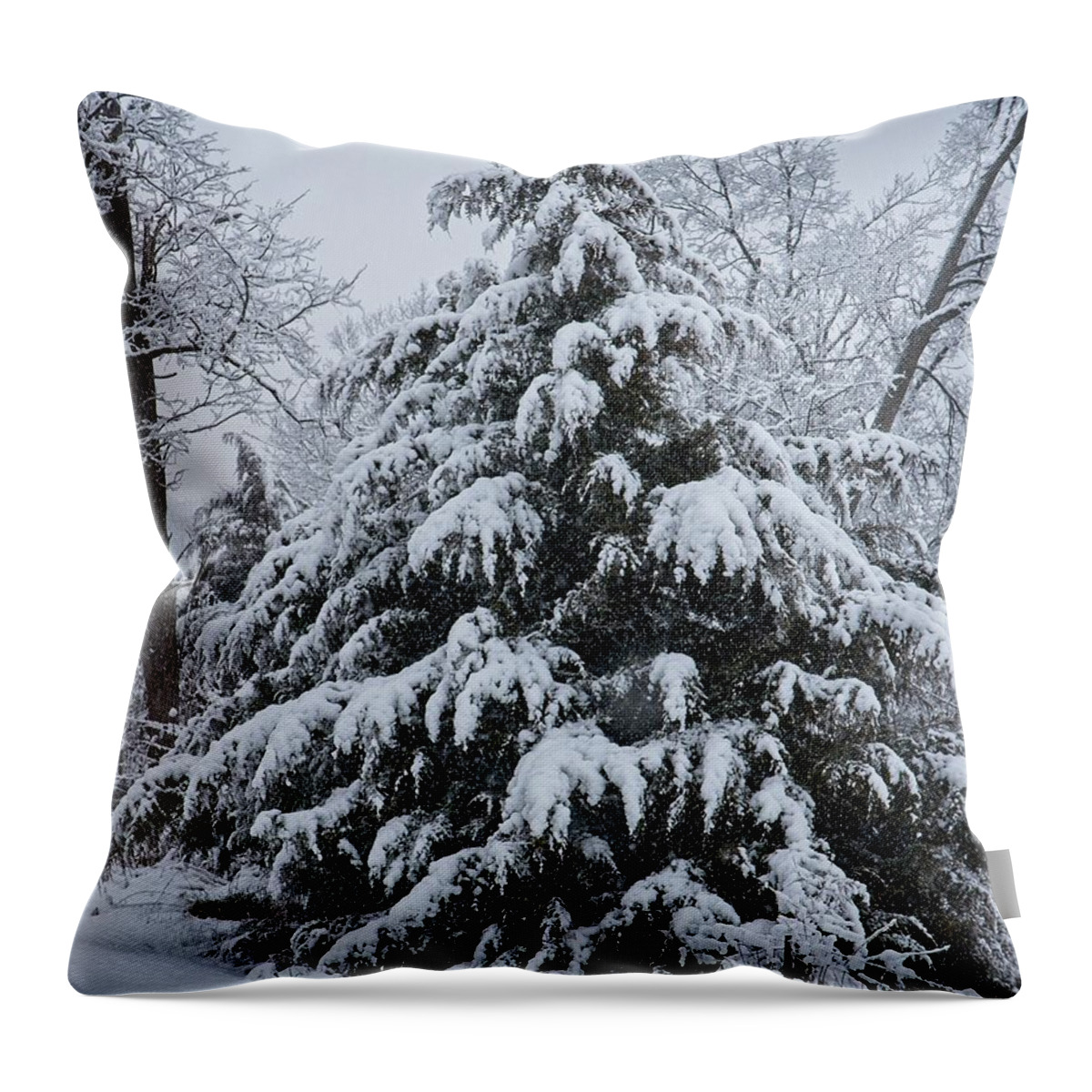 Snow Throw Pillow featuring the photograph Under The Weight of the Weather by Ronald Lutz