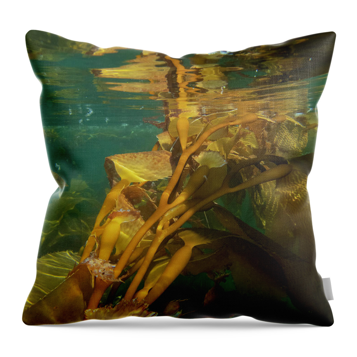 Alaska Throw Pillow featuring the photograph Underwater in the Giant Kelp Forest by Nancy Gleason