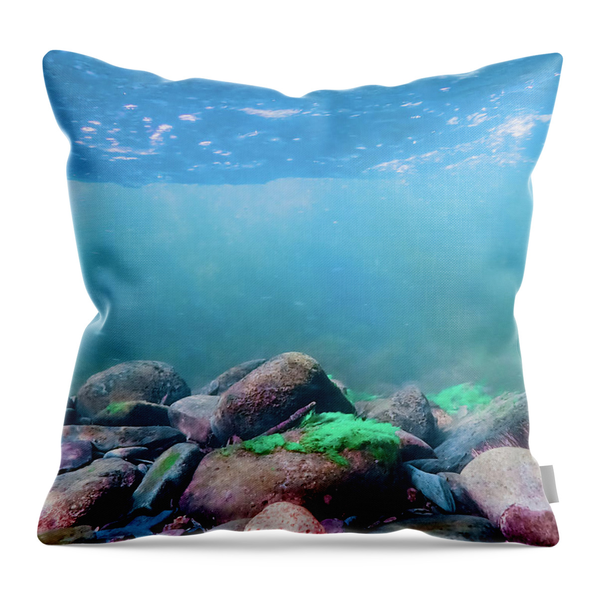 Sea Throw Pillow featuring the photograph Underwater Scene - Upper Delaware River 6 by Amelia Pearn