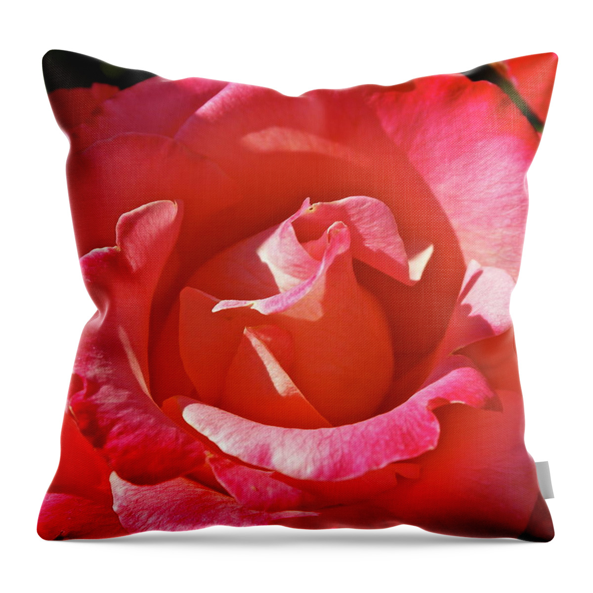 Rose Throw Pillow featuring the photograph Unfurling by Michele Myers