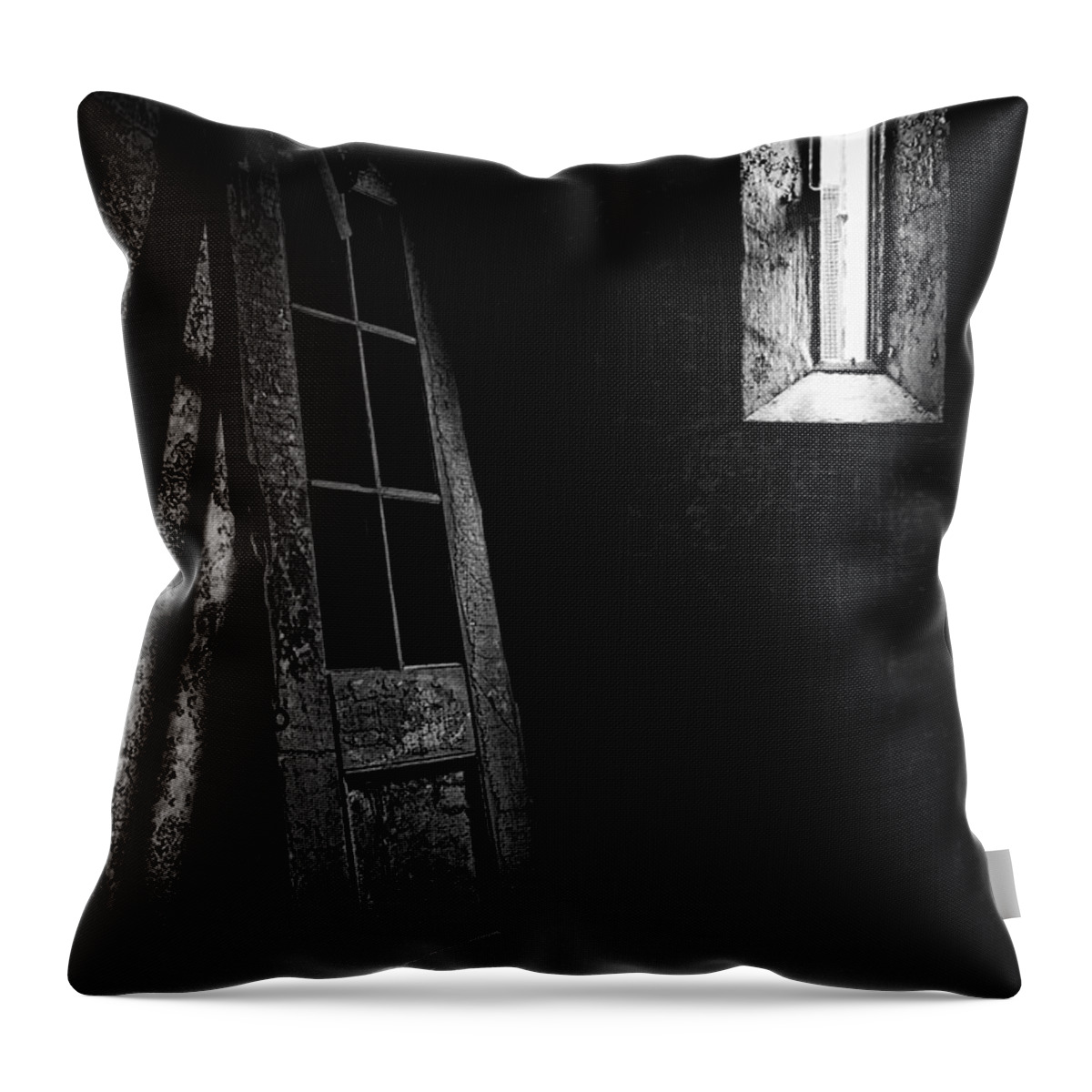 Philadelphia Throw Pillow featuring the photograph Unhinged by Andrew Paranavitana