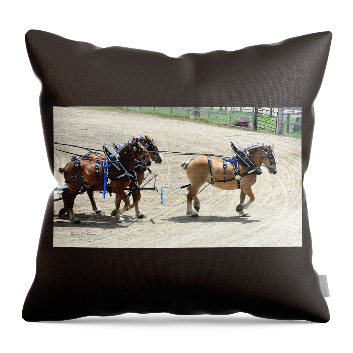 Horses Throw Pillow featuring the photograph Unicorn Class at the Draft Horse Expo by Kae Cheatham