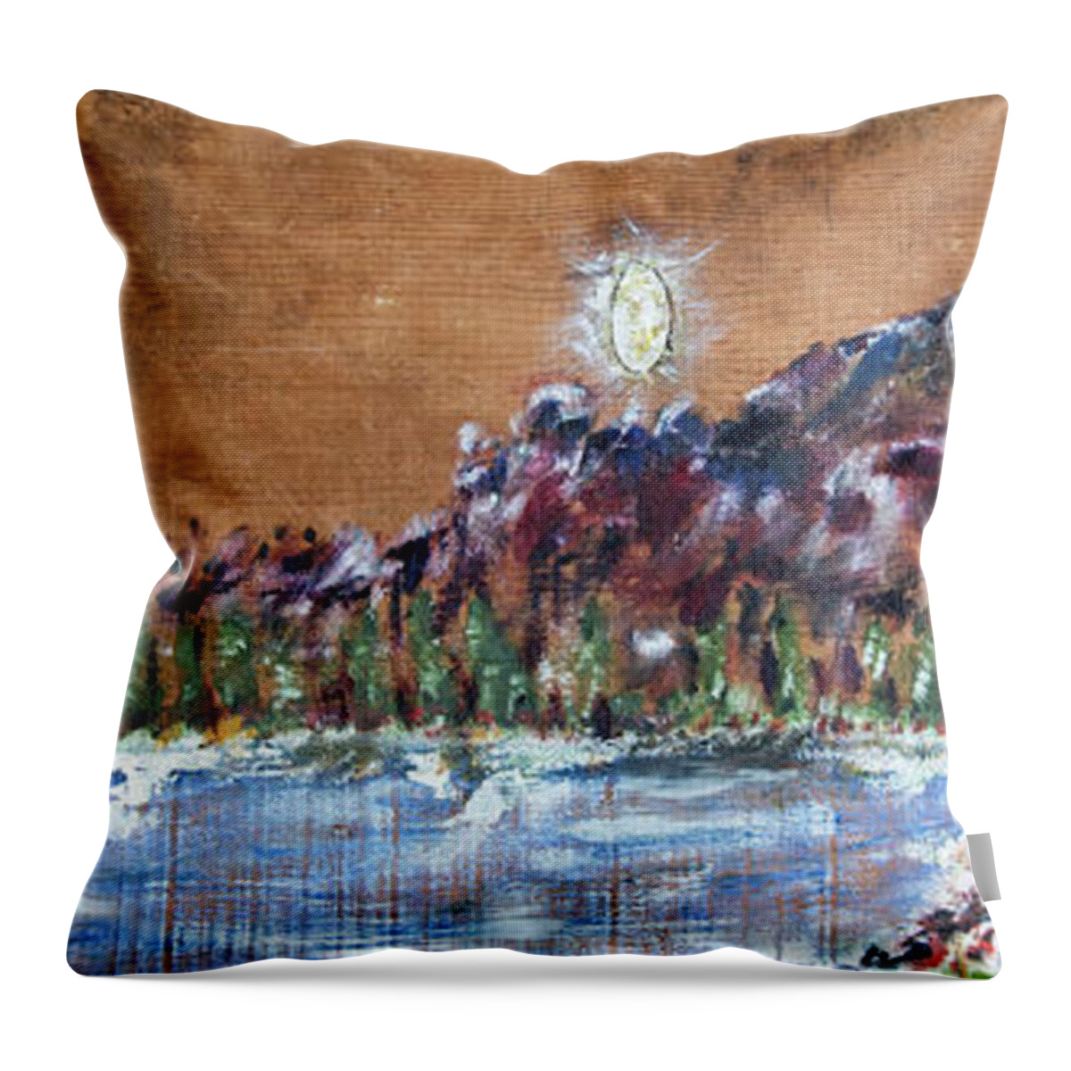  Throw Pillow featuring the painting Unidentified Light in the Night Sky by David McCready