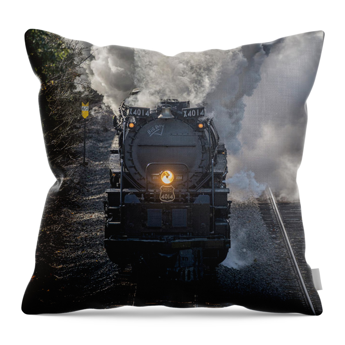Railroad Throw Pillow featuring the photograph Union Pacific Big Boy 4014 Departs Hope Arkansas by Jim Pearson