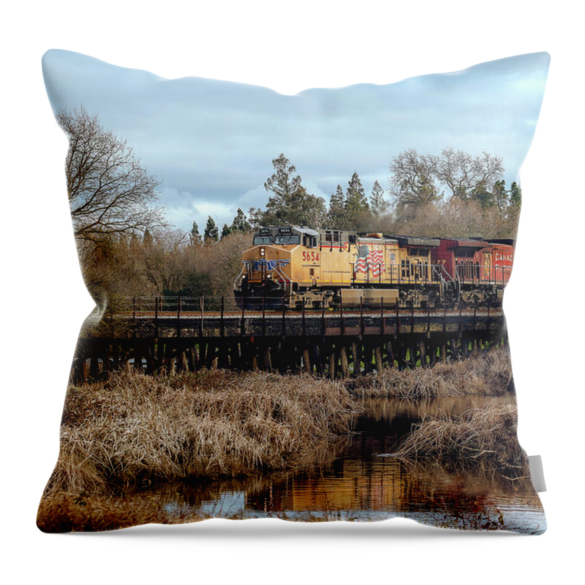 Trains Throw Pillow featuring the photograph Union Pacific Locomotive with Canadian Pacific by Gary Geddes