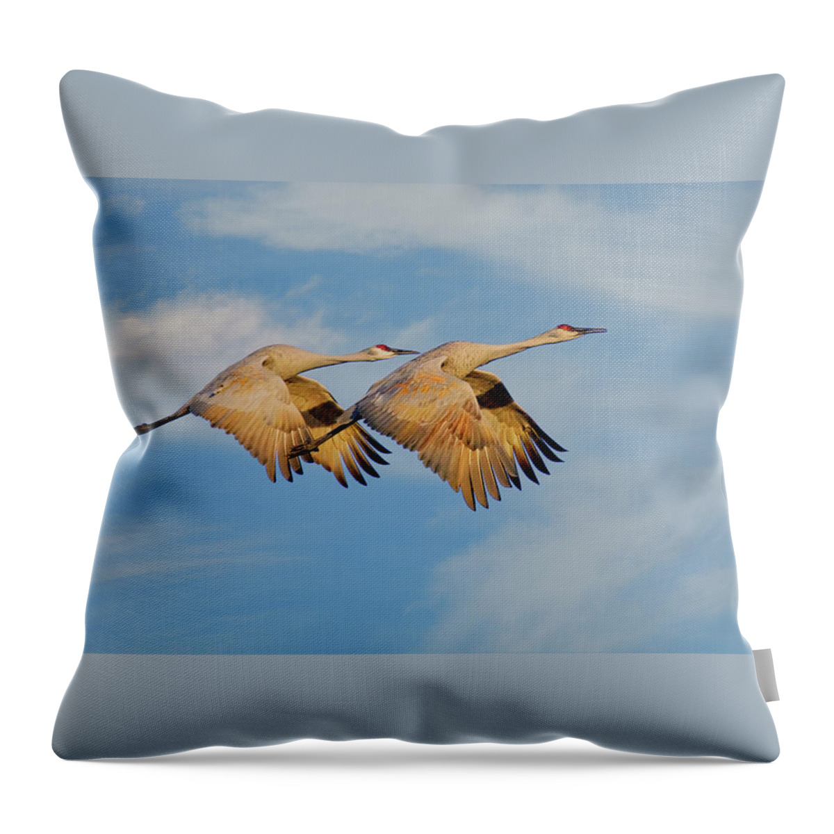 Sandhill Cranes Throw Pillow featuring the photograph Unison in Flight-Sandhill Cranes by Zayne Diamond