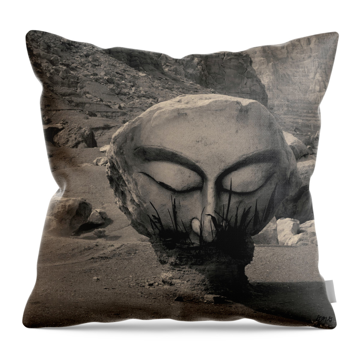 Buddha Throw Pillow featuring the photograph Untitled IV Toned by David Gordon