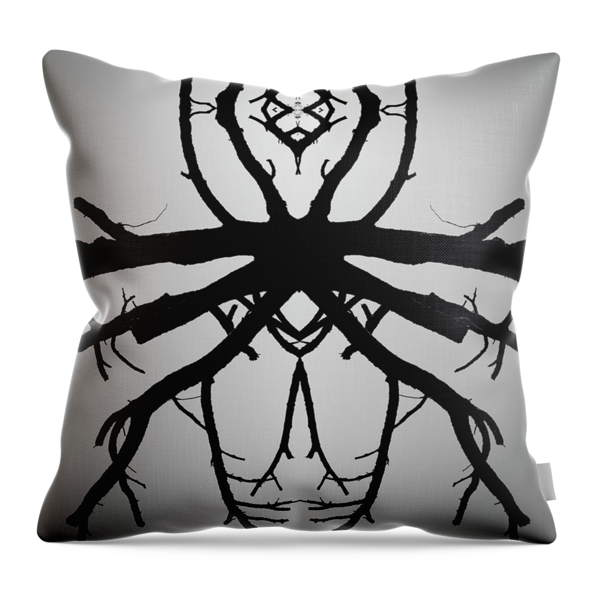 Abstract Throw Pillow featuring the photograph Untitled XVI BW by David Gordon