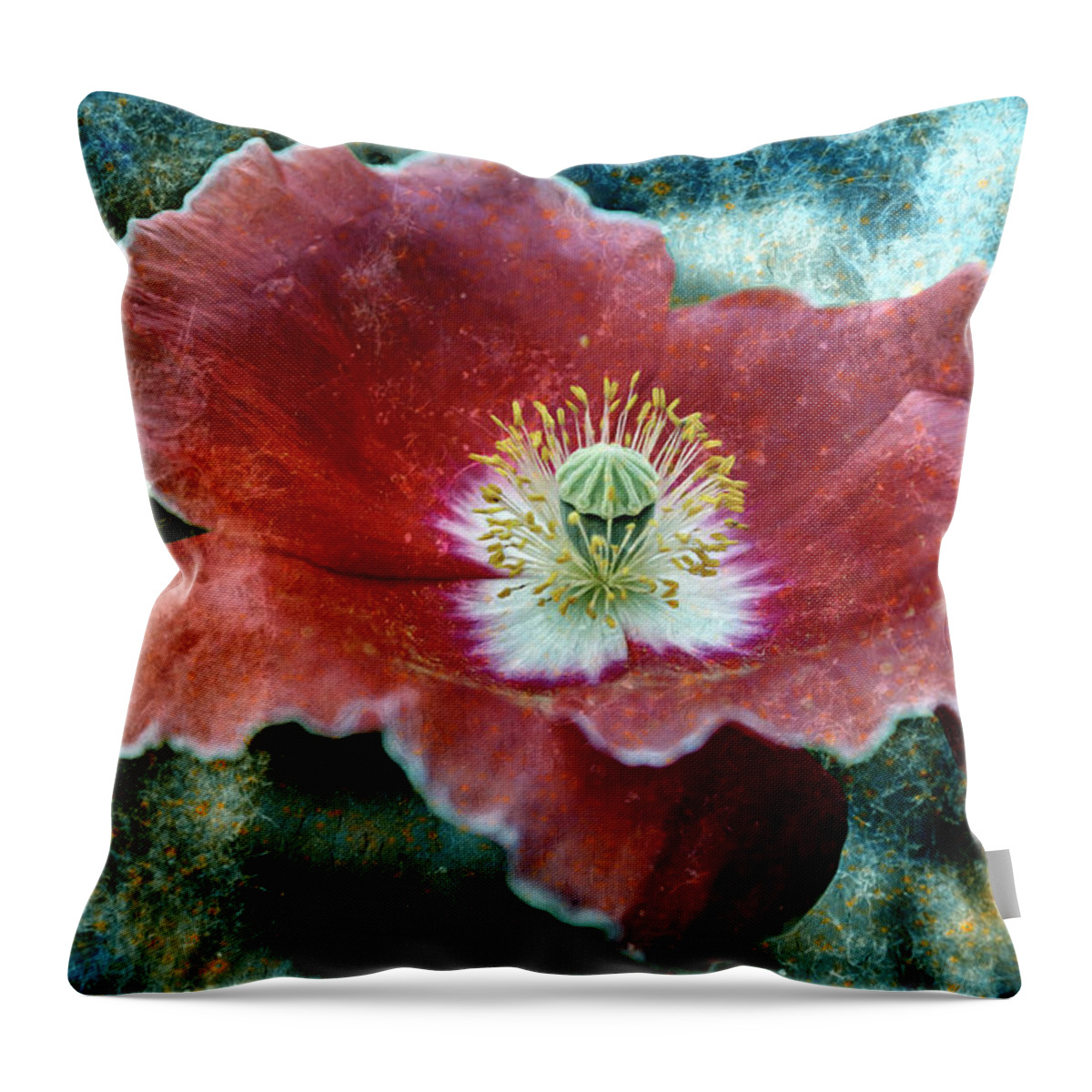 Flower Throw Pillow featuring the photograph Untitled_ox by Paul Vitko
