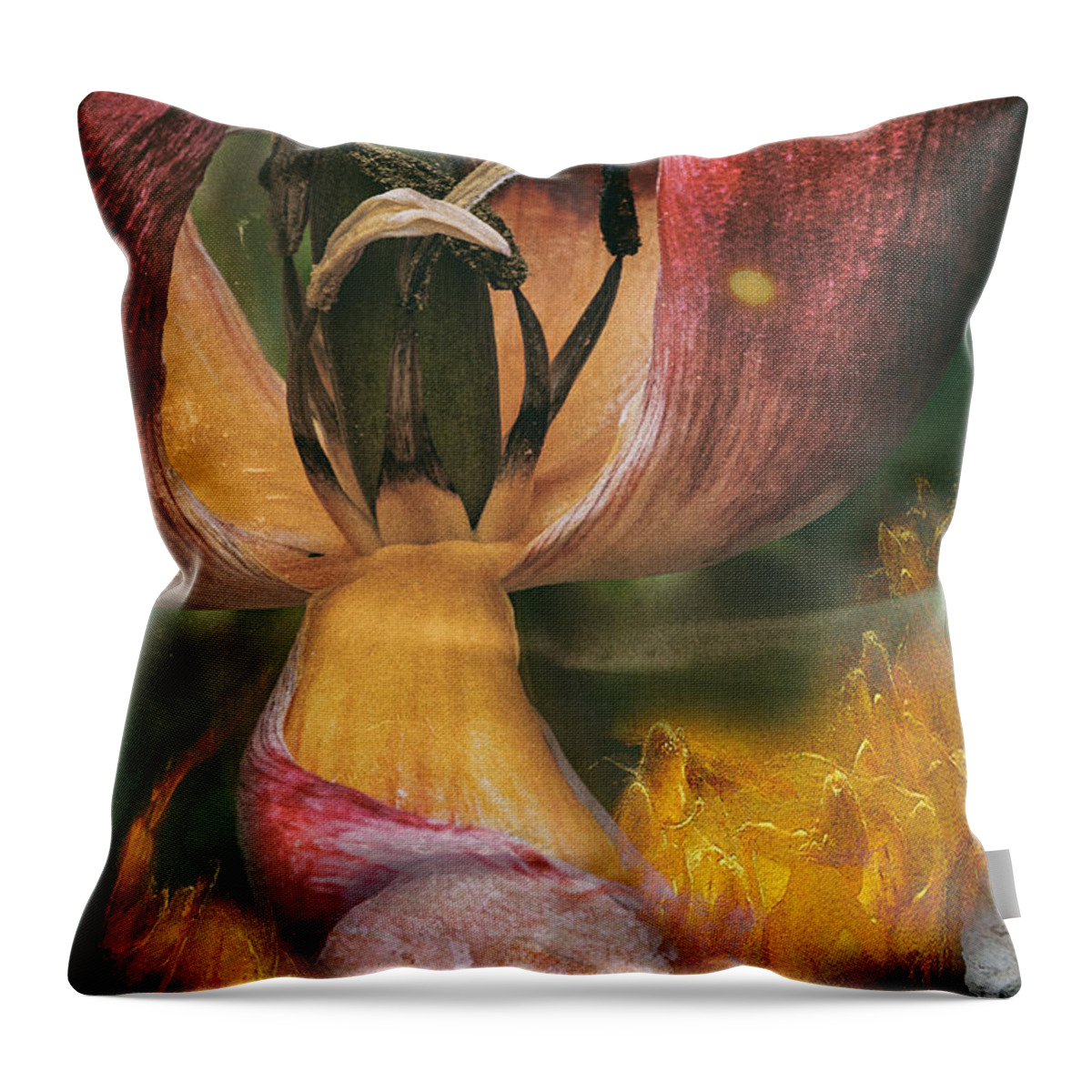 Tulip Throw Pillow featuring the photograph Untitled_tul by Paul Vitko