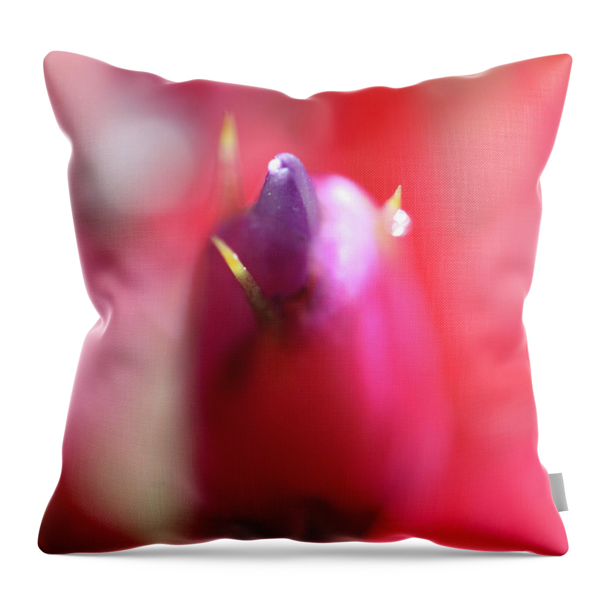 Red Throw Pillow featuring the photograph Up Close and Personal Bud by D Lee