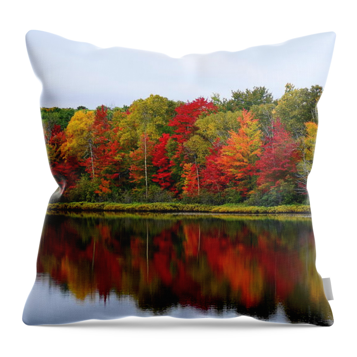 Upper Peninsula Throw Pillow featuring the photograph UP Colors by Terry M Olson