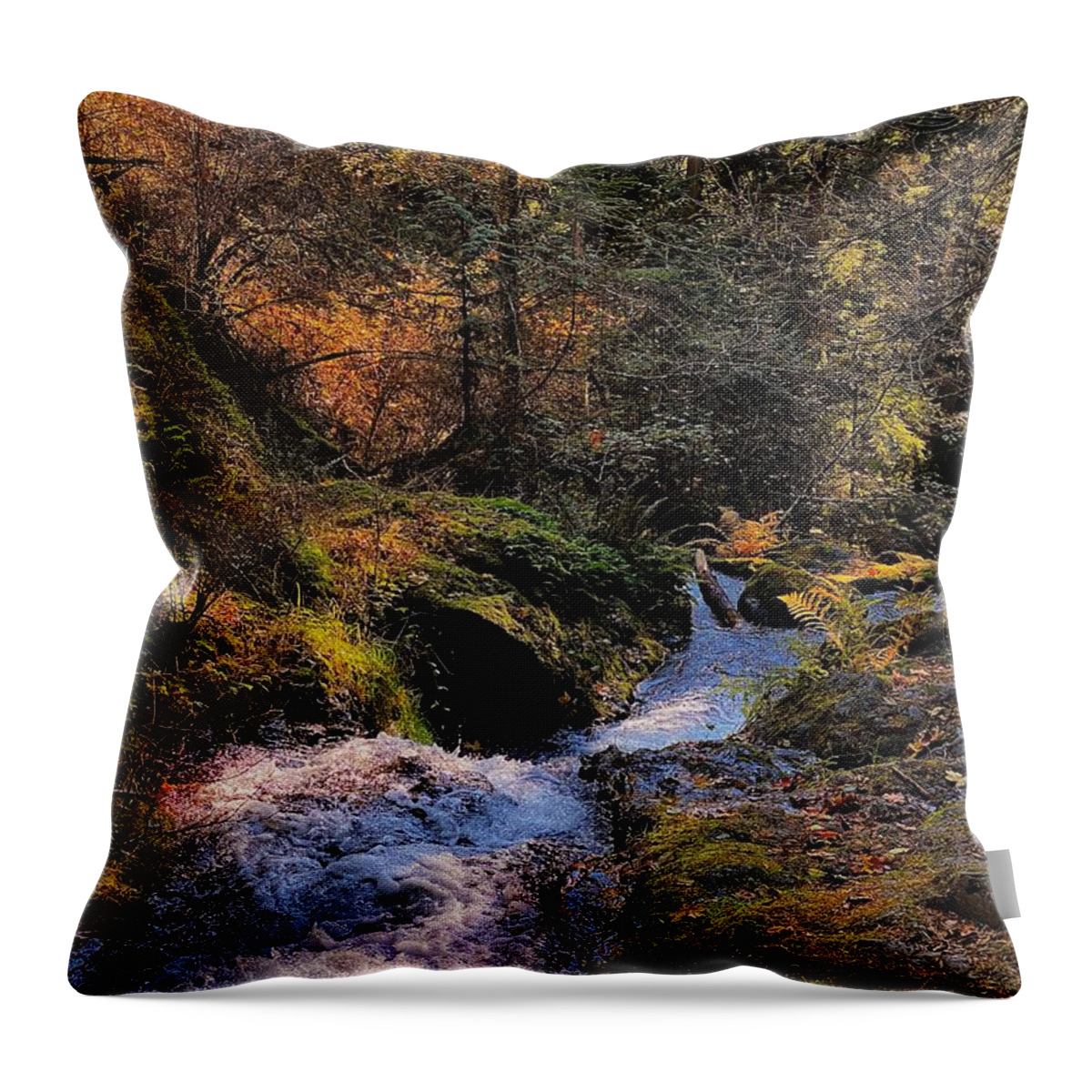 Waterfall Throw Pillow featuring the photograph Upper Cascade Waterfall - Orcas Island by Jerry Abbott