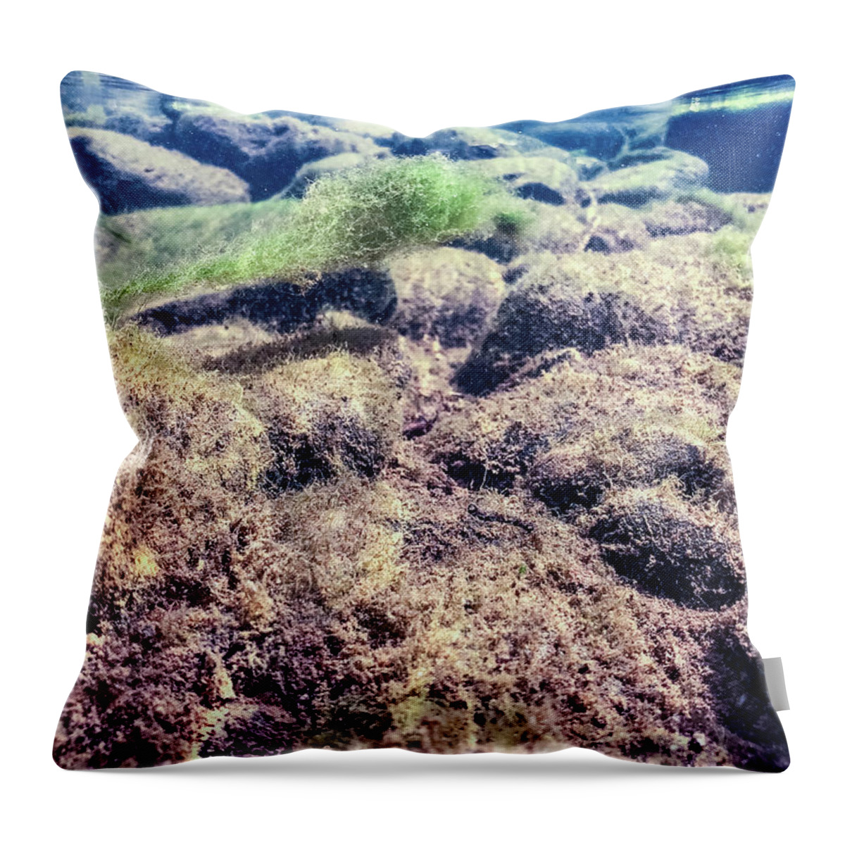 Delaware River Throw Pillow featuring the photograph Upper Delaware River - Underwater Photography by Amelia Pearn