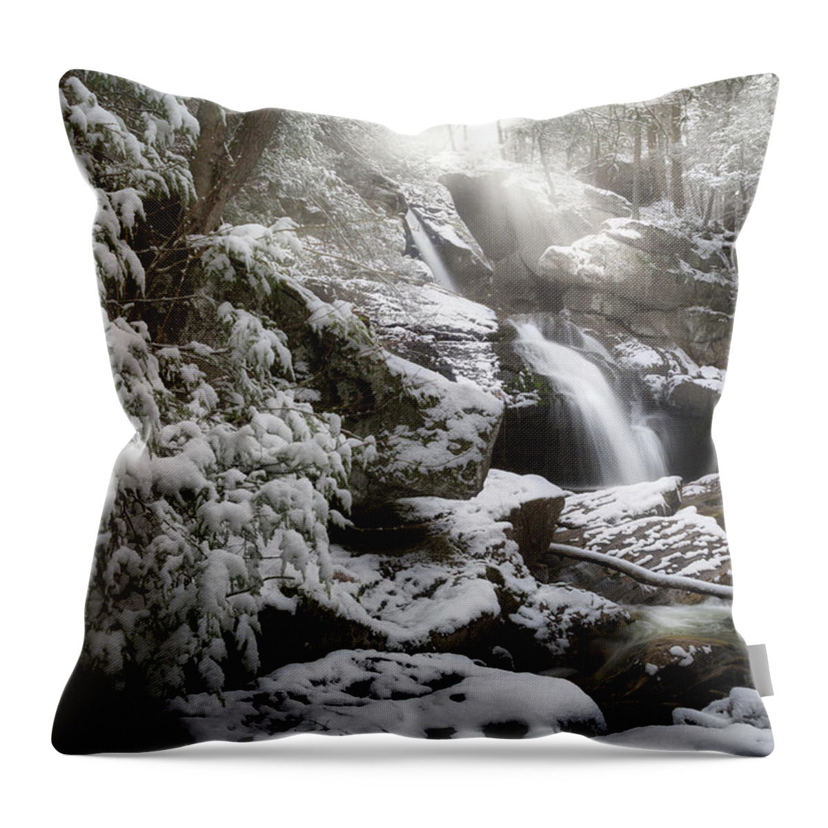 Snowy Trees Throw Pillow featuring the photograph Upper Kent Falls 2016 by Bill Wakeley