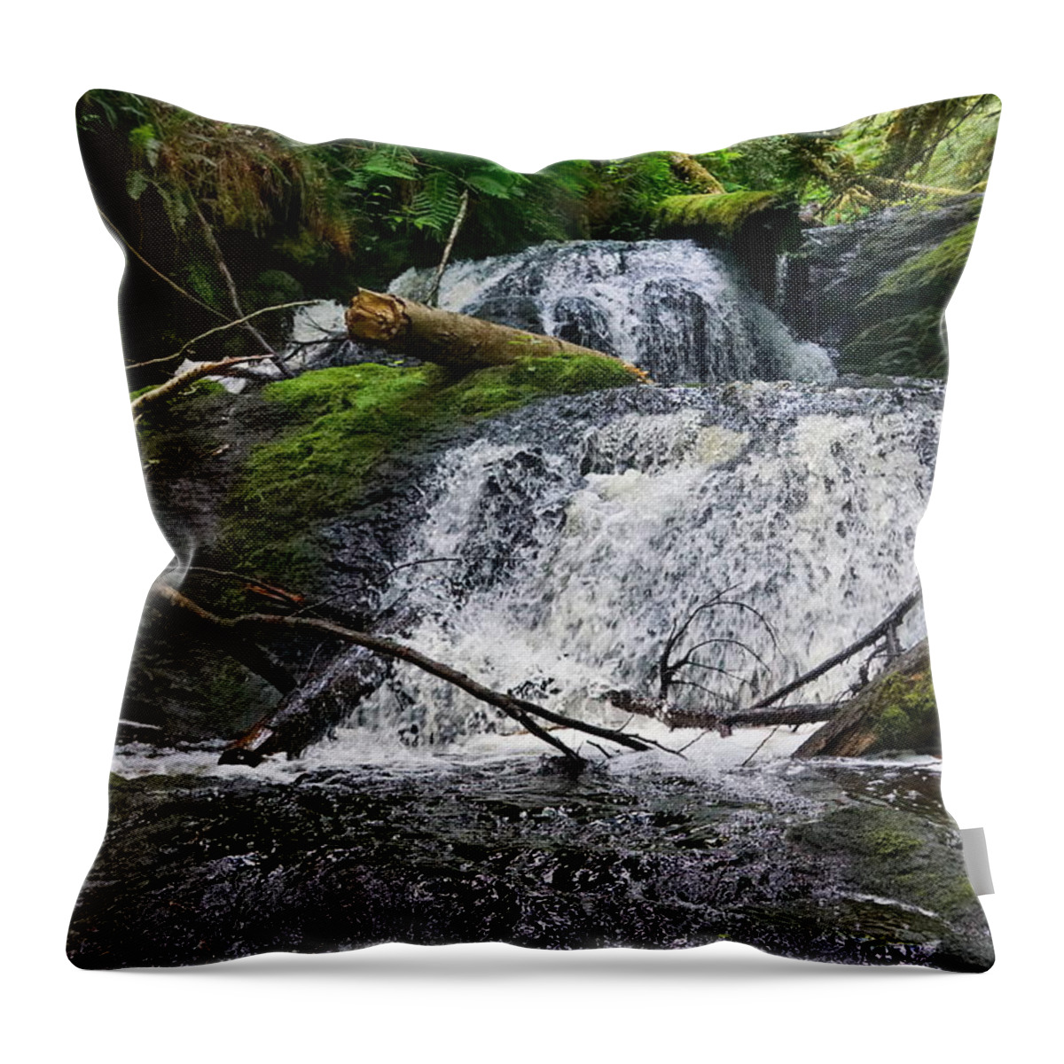 Landscape Throw Pillow featuring the photograph Upper Ludlow Falls by Bill TALICH