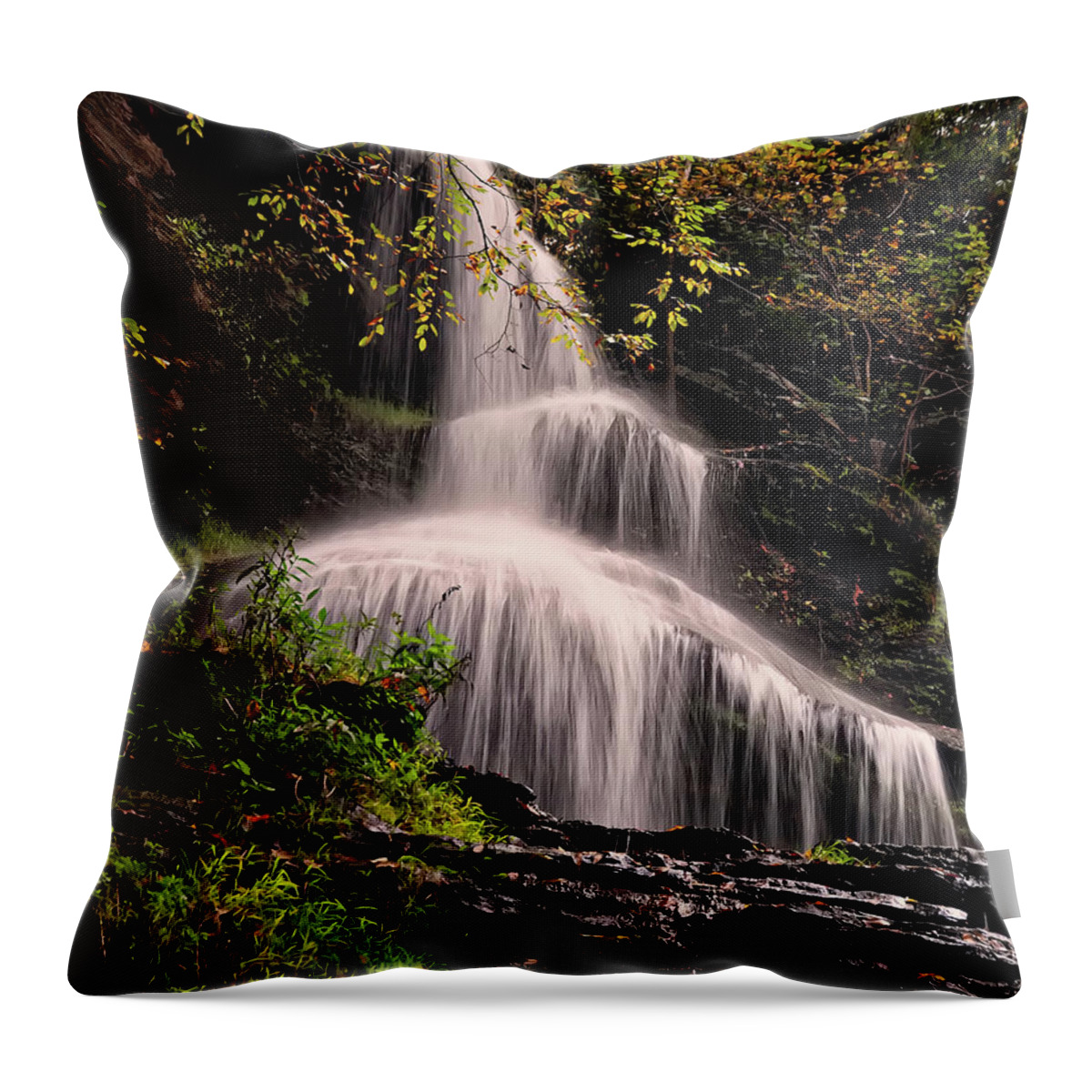 Waterfall Throw Pillow featuring the photograph upper portion of Cathedral Falls by Flees Photos