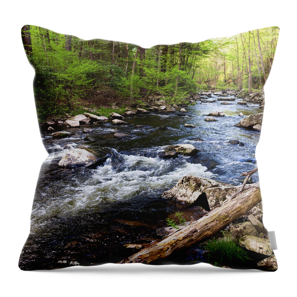 Catskills Throw Pillow featuring the photograph Upstate New York - Ten Mile River Narrowsburg NY by Amelia Pearn