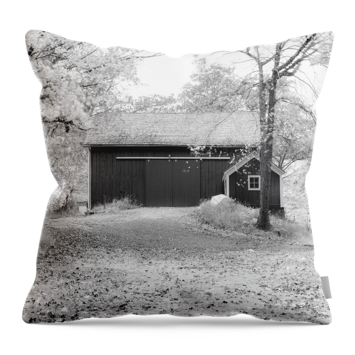Cowen Farm Throw Pillow featuring the photograph Upstate NY Historic Site by Amelia Pearn