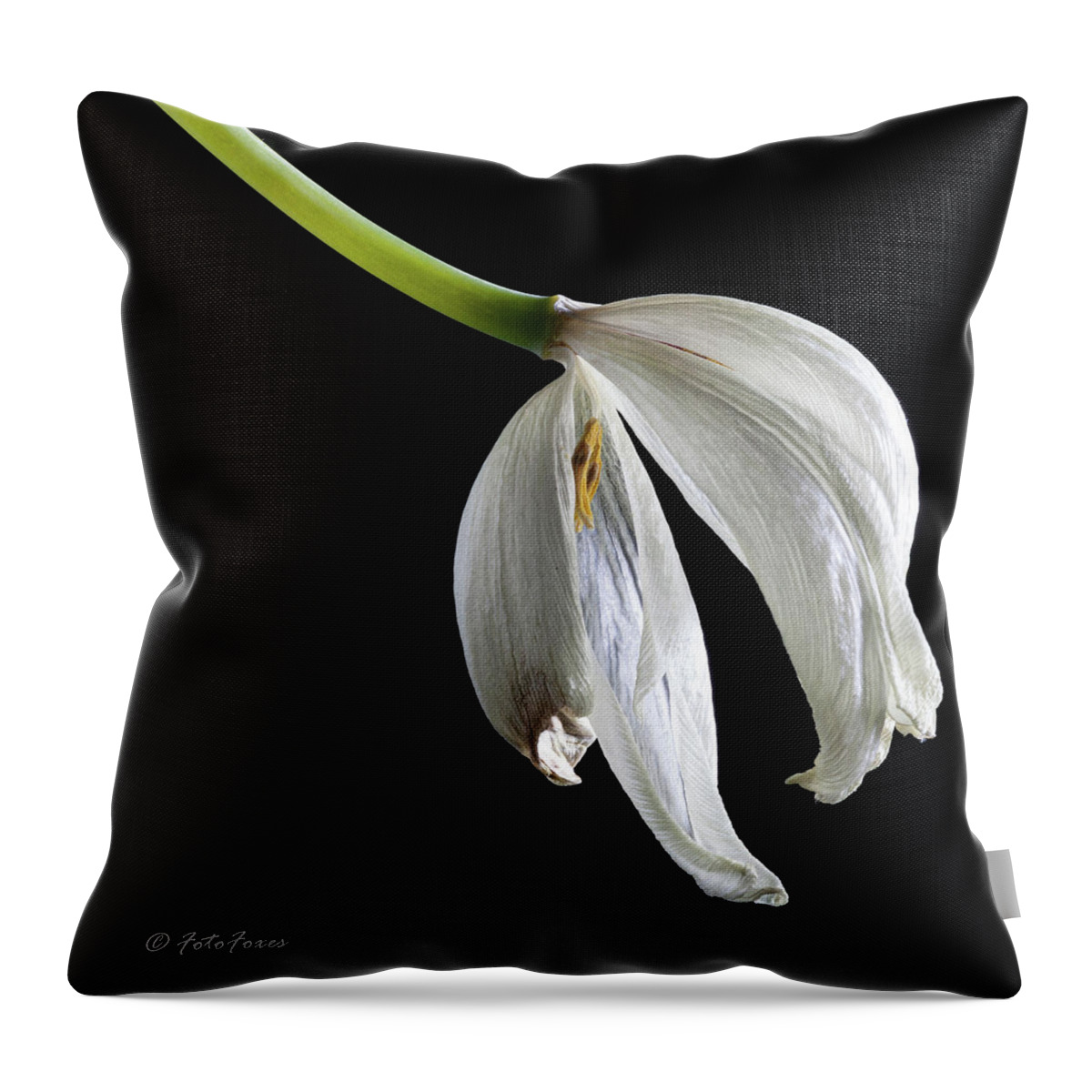 Alexander Throw Pillow featuring the photograph Used to be by Alexander Fedin