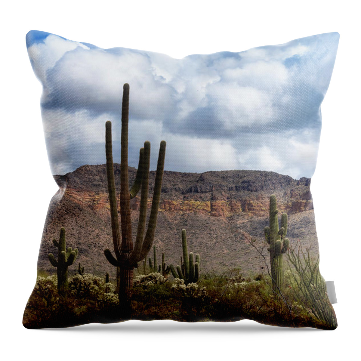 Arizona Throw Pillow featuring the photograph Usery Mountain by Saija Lehtonen