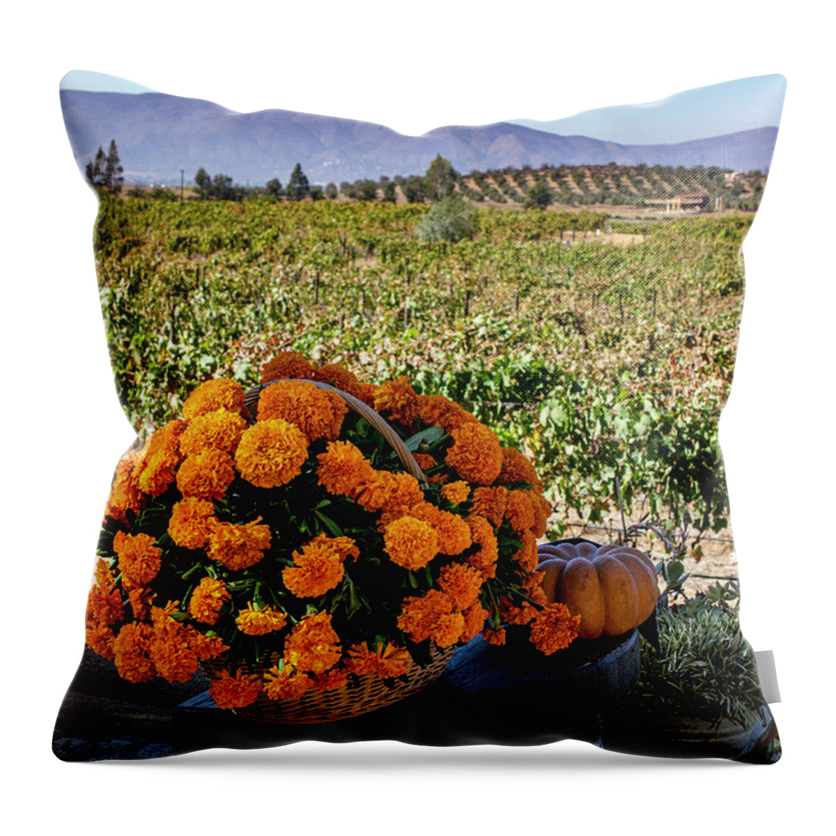 Marigolds Throw Pillow featuring the photograph Valley Marigolds by William Scott Koenig