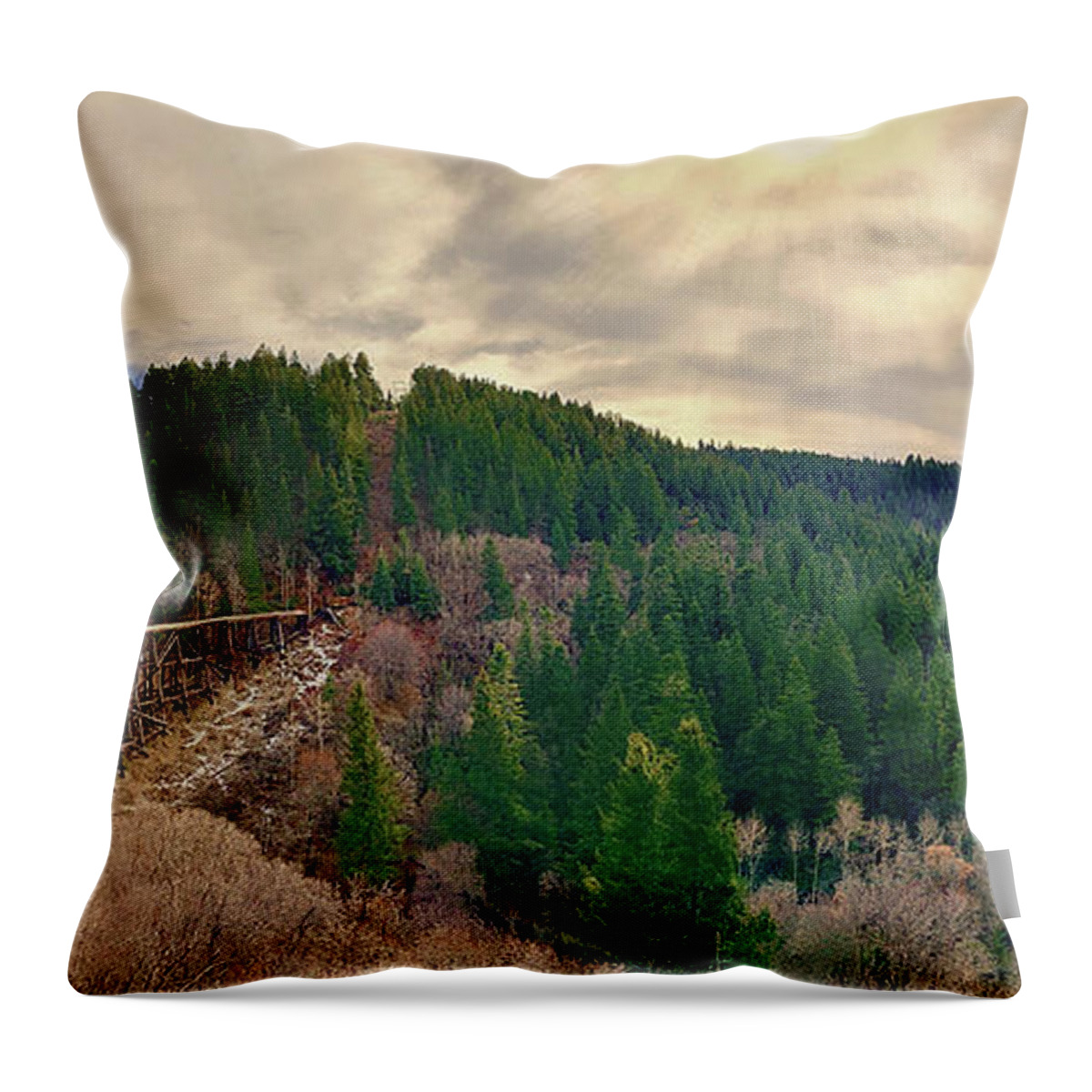 Valley Throw Pillow featuring the photograph Valley Trestle by GW Mireles