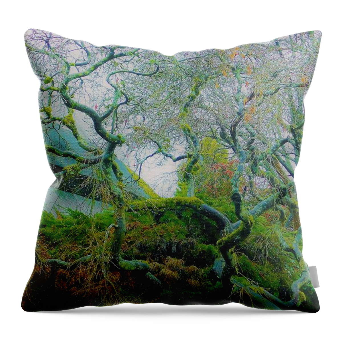 - Vancouver Bc Tree 3 Throw Pillow featuring the photograph - Vancouver BC Tree 3 by THERESA Nye