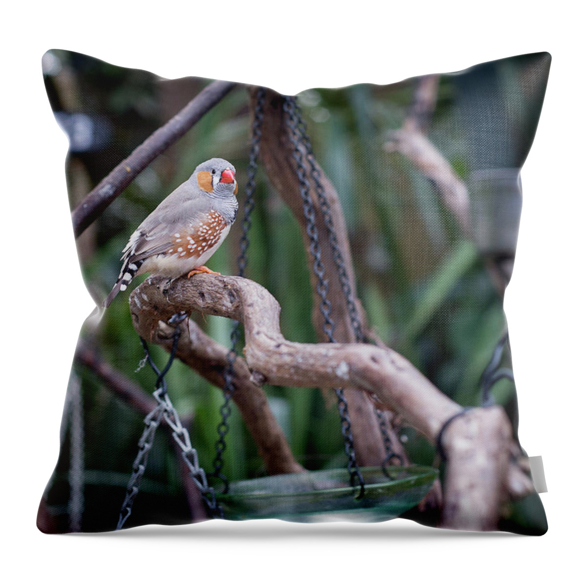 Jennifer Kane Webb Throw Pillow featuring the photograph Vancouver Bird On A Branch by Jennifer Kane Webb