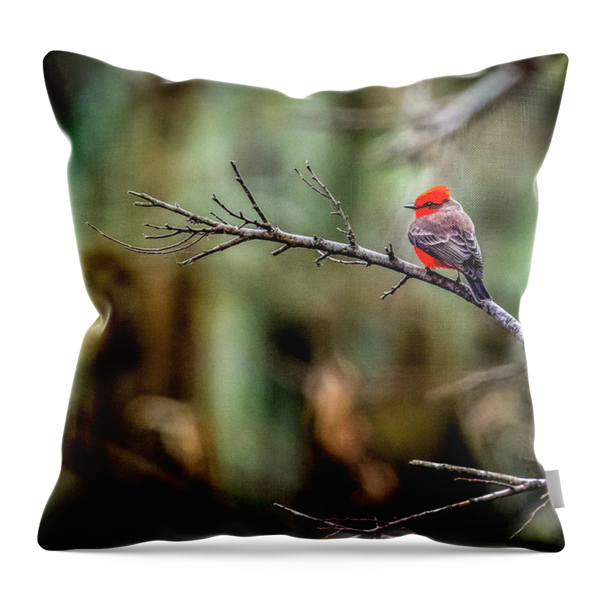 Bird Throw Pillow featuring the photograph Vermillion Flycatcher at Brazos Bend by David Morefield