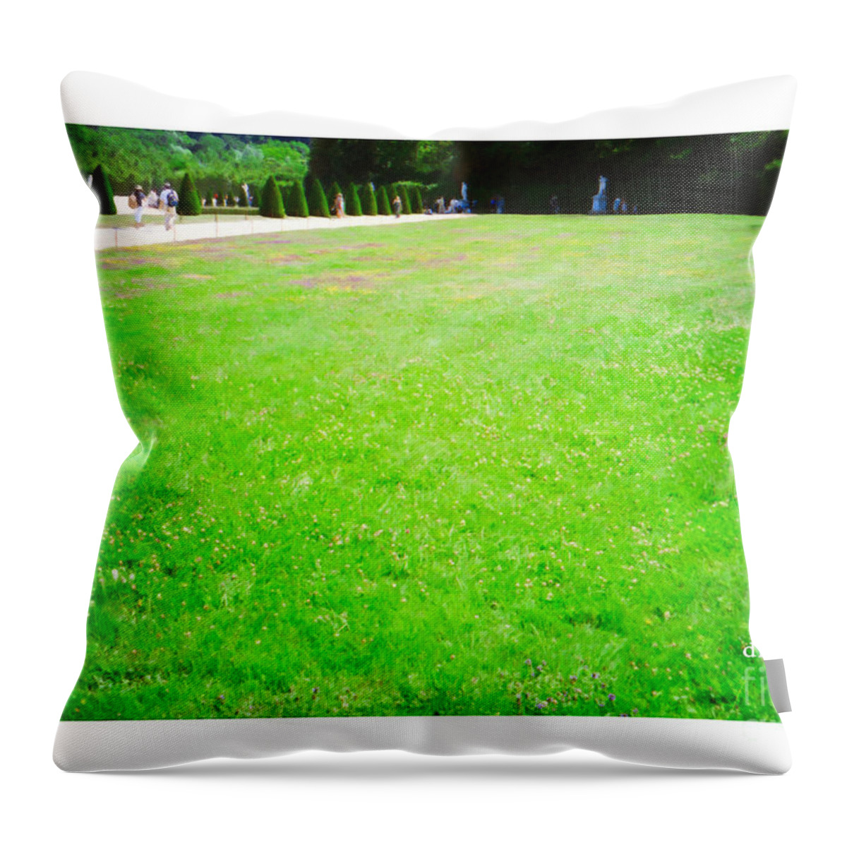 Landscape Throw Pillow featuring the painting Versaille Lawn by Donna L Munro