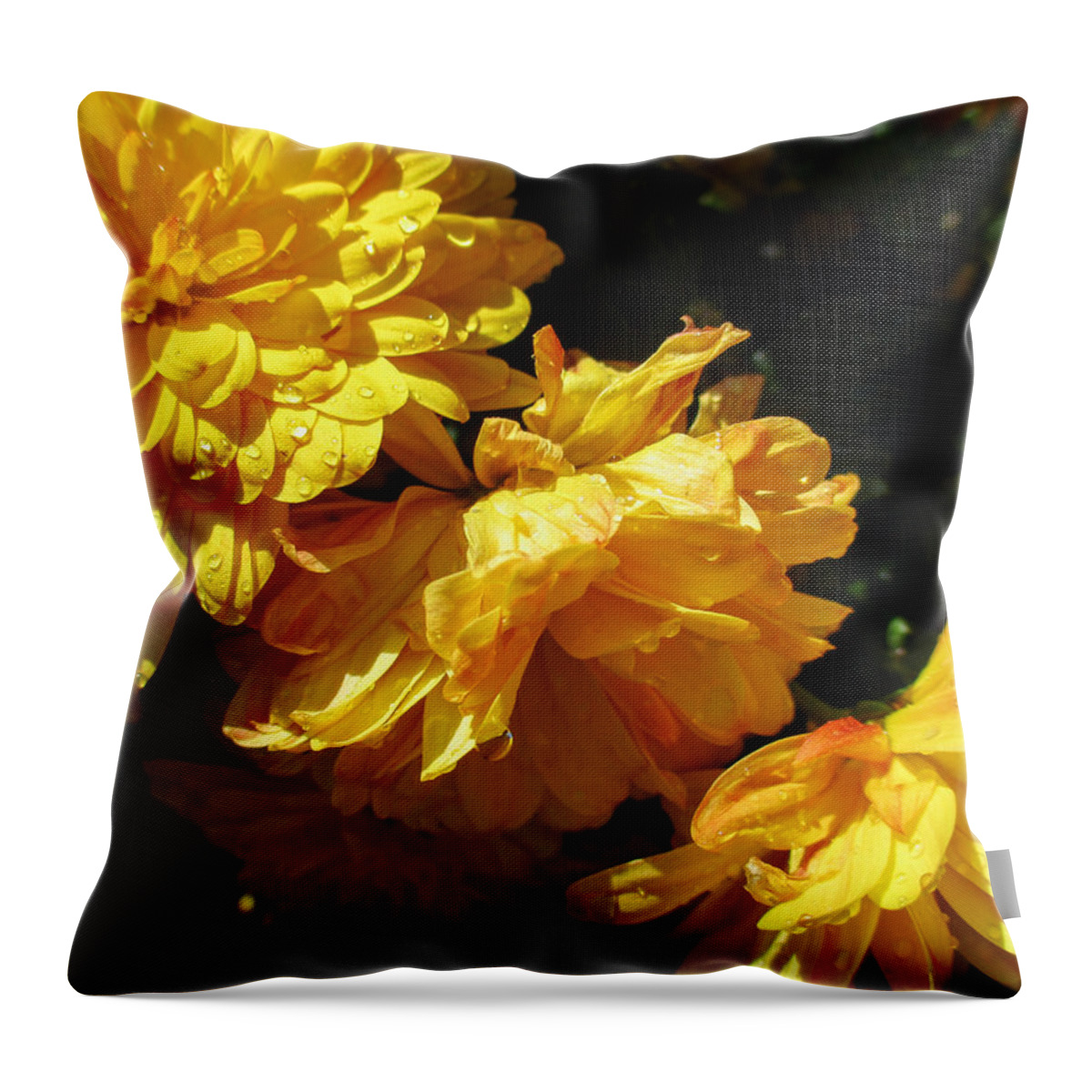 Calendula Officinalis Throw Pillow featuring the photograph Very Yellow Marigolds by W Craig Photography