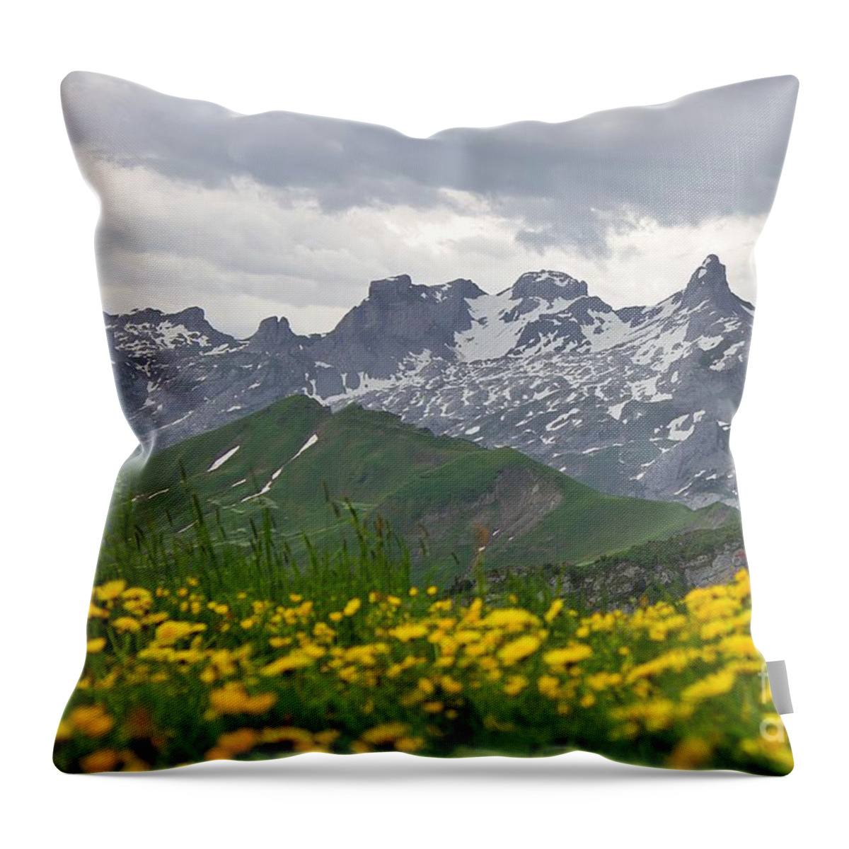 Yellow Flowers Throw Pillow featuring the photograph Swiss Alps Mountain View by Yvonne M Smith
