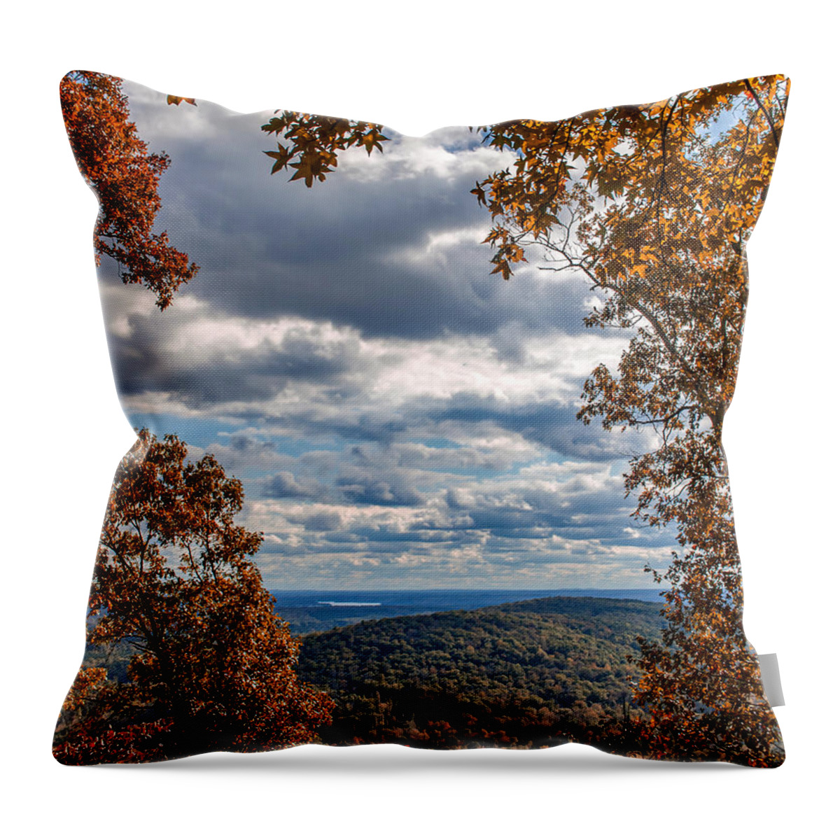 Mountain Throw Pillow featuring the photograph View from Morrow Mountain by Rick Nelson
