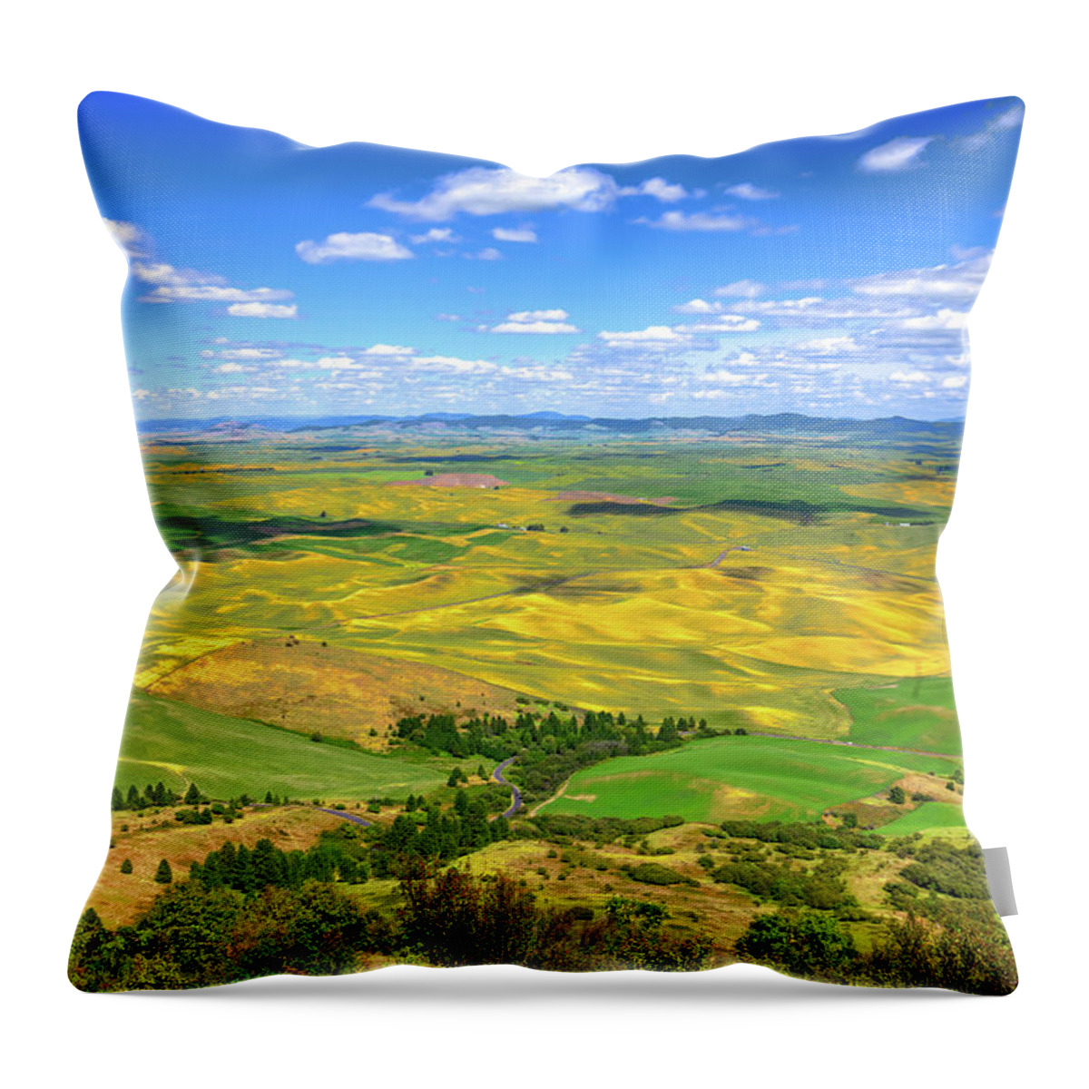 Hdr Throw Pillow featuring the photograph View from Steptoe Butte by David Patterson